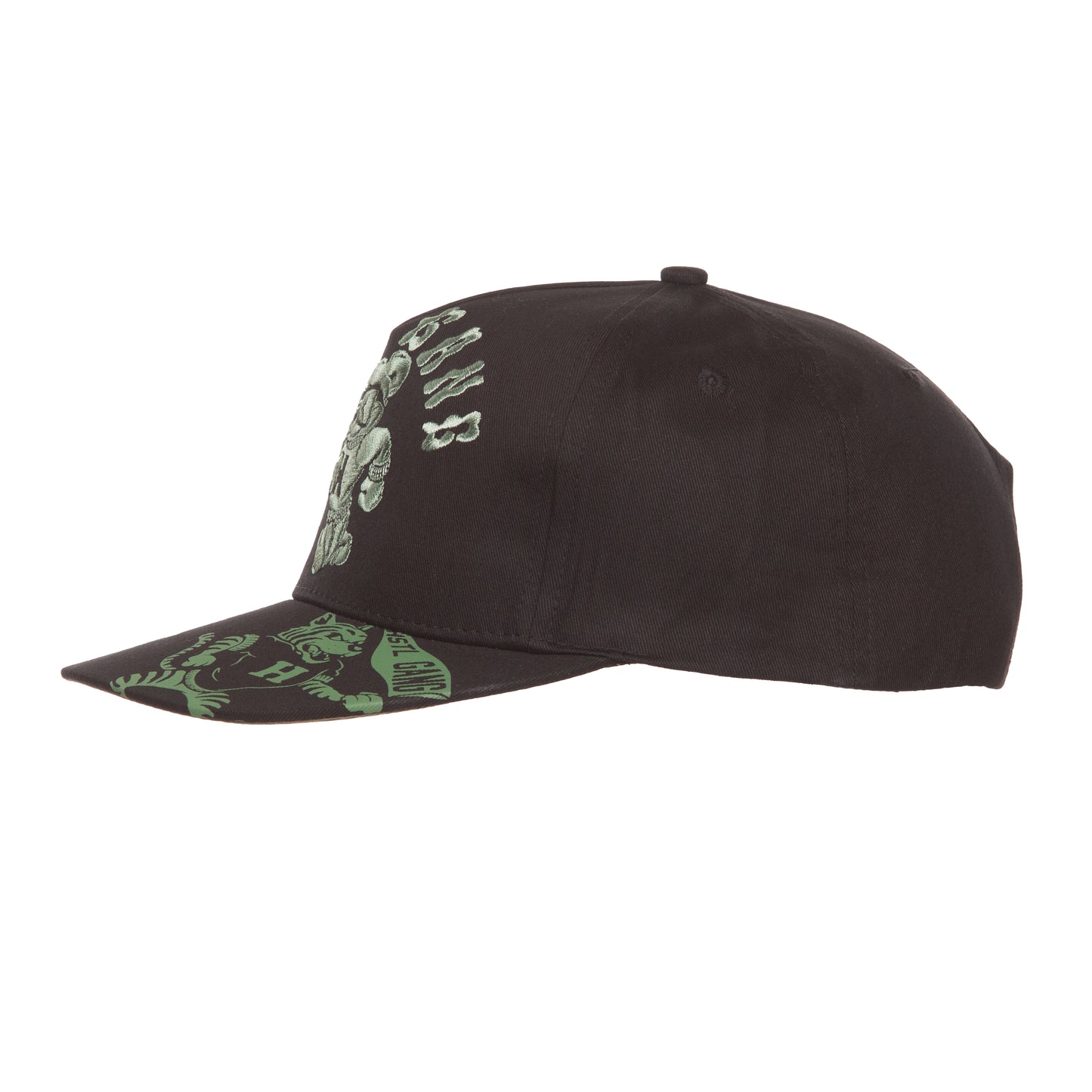 HG Team Green Snapback